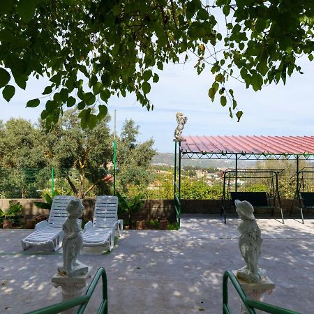 Live Finca El Gamonal Bajo Con Piscina Y Jardin En La Naturaleza サンタ・ブリヒダ エクステリア 写真