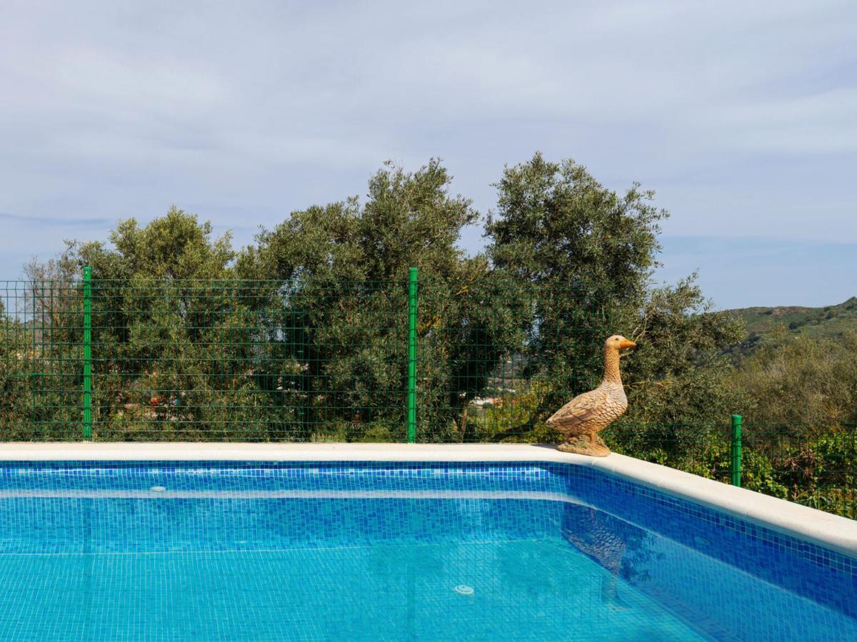 Live Finca El Gamonal Bajo Con Piscina Y Jardin En La Naturaleza サンタ・ブリヒダ エクステリア 写真
